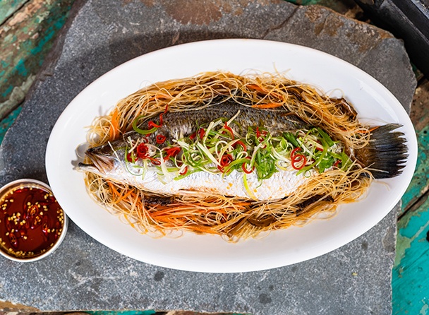 food-dish